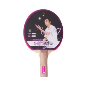 Paleta de ping pong 1 estrella