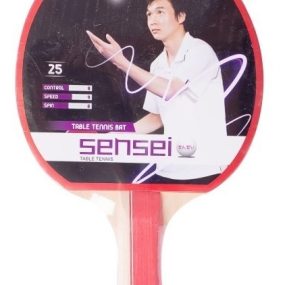 Paleta de Ping Pong 2 Estrella