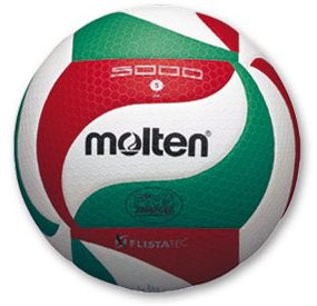 Balón Voleibol V5M 5000 Oficial molten