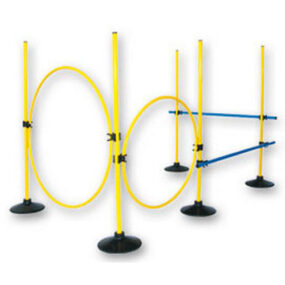 Set Multiactividad Fisica