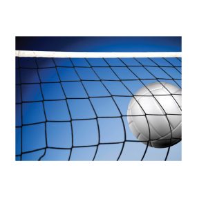 Red De Voleibol Sin  Cable De Acero